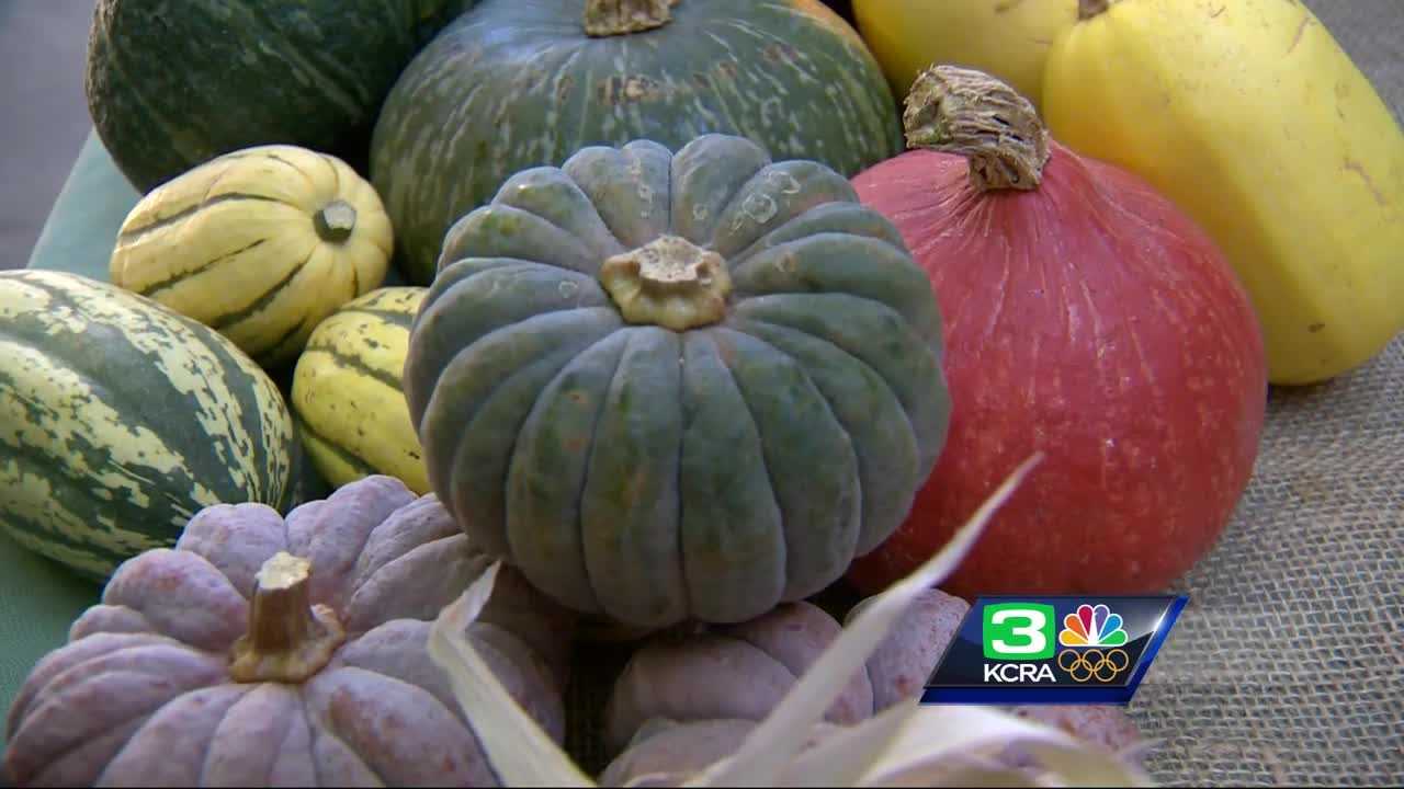 Farm to Fork: cooking with pumpkins