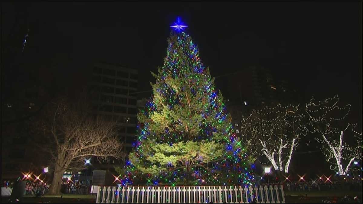uncut boston common christmas tree lighting uncut boston common christmas tree lighting