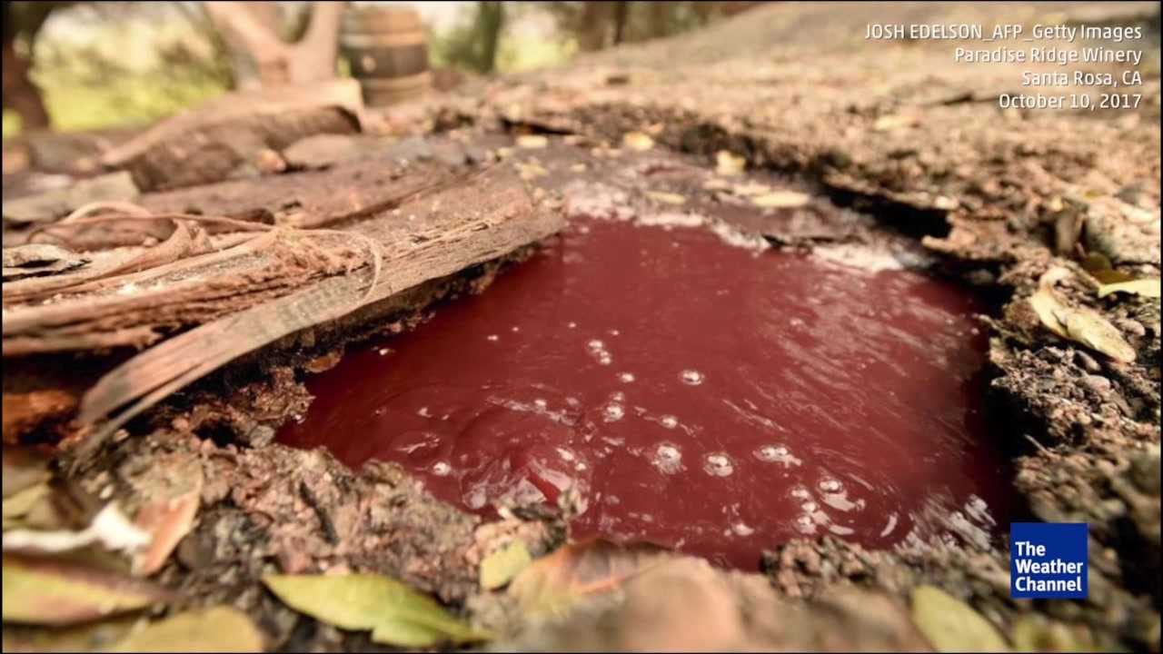 Boiling Wine Bubbles as Winery Burned to Ground