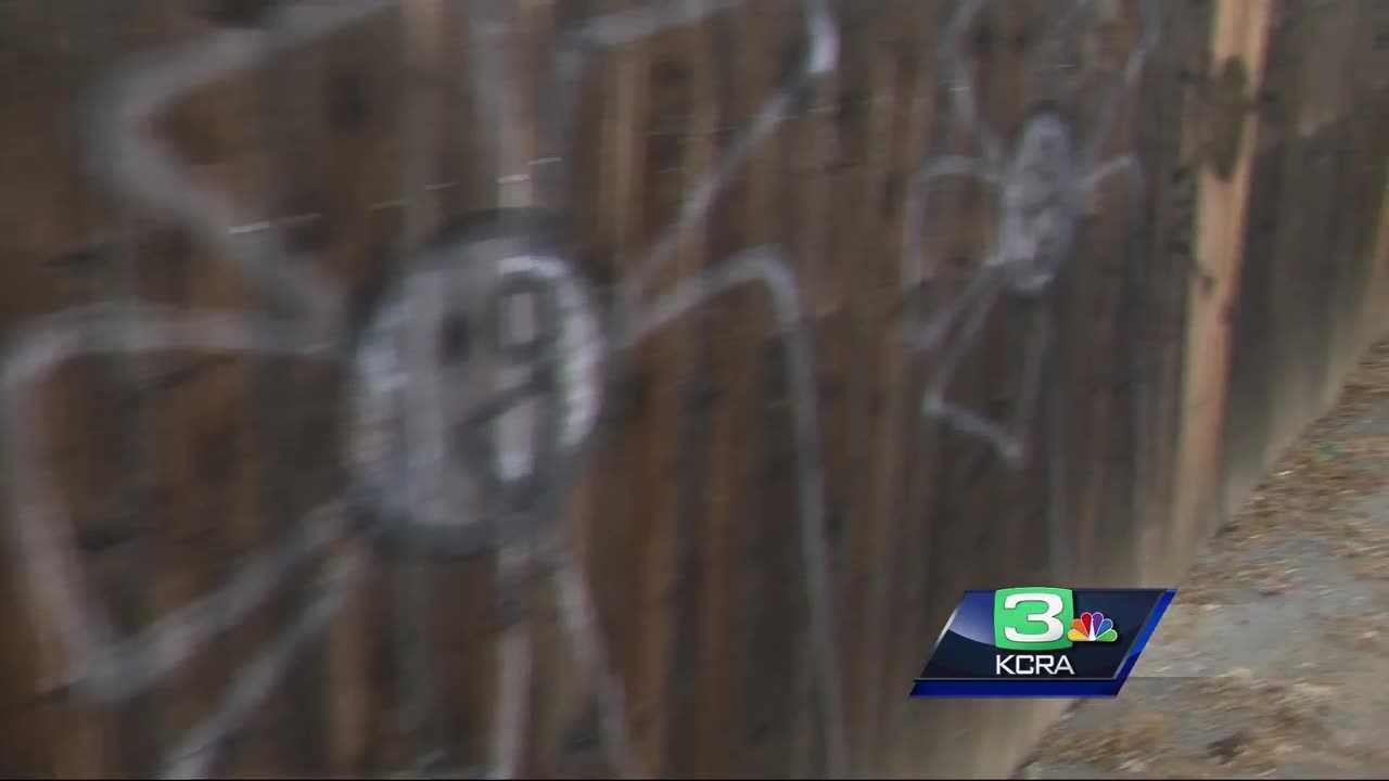 Flower graffiti sprouts up across Sacramento