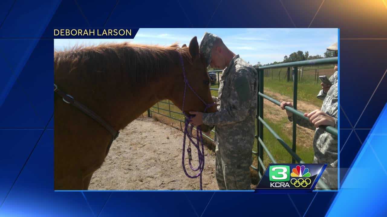 Horses Healing Heroes, Cowboys and City Slickers Soiree