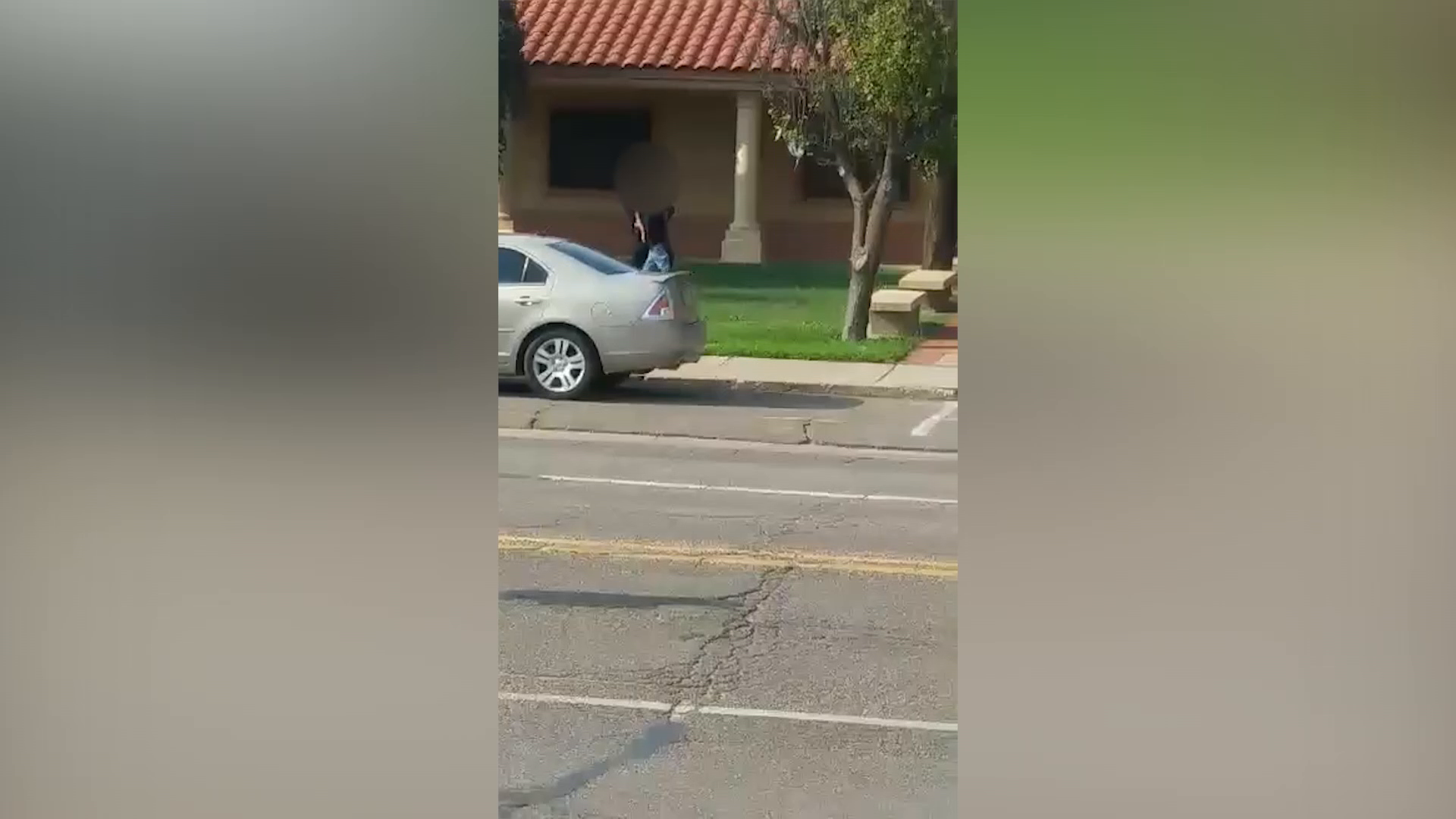 RAW VIDEO: Police take suspect into custody after library shooting