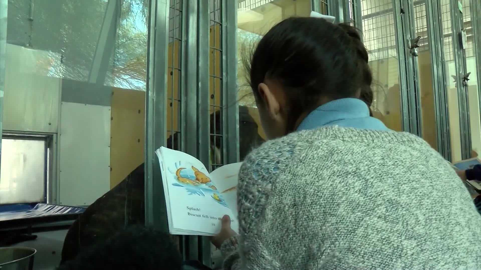 First graders practice literacy by reading to dogs