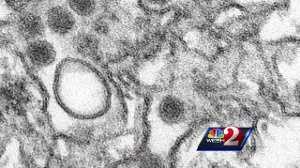 More than a dozen cases of Zika reported in Florida