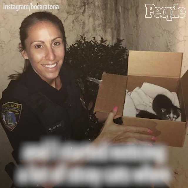 'Cat cop' rescues all the strays she finds along patrol route