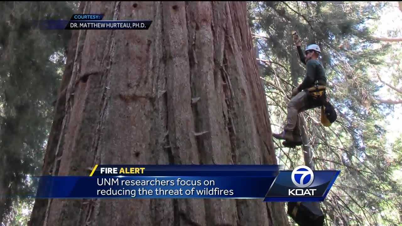 UNM Researchers focus on preventing devastating wildfires before they happen