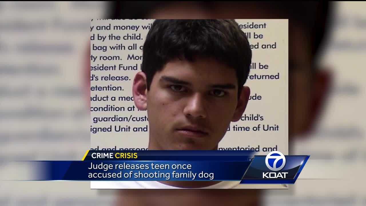 Teen accused of killing family dog released from jail