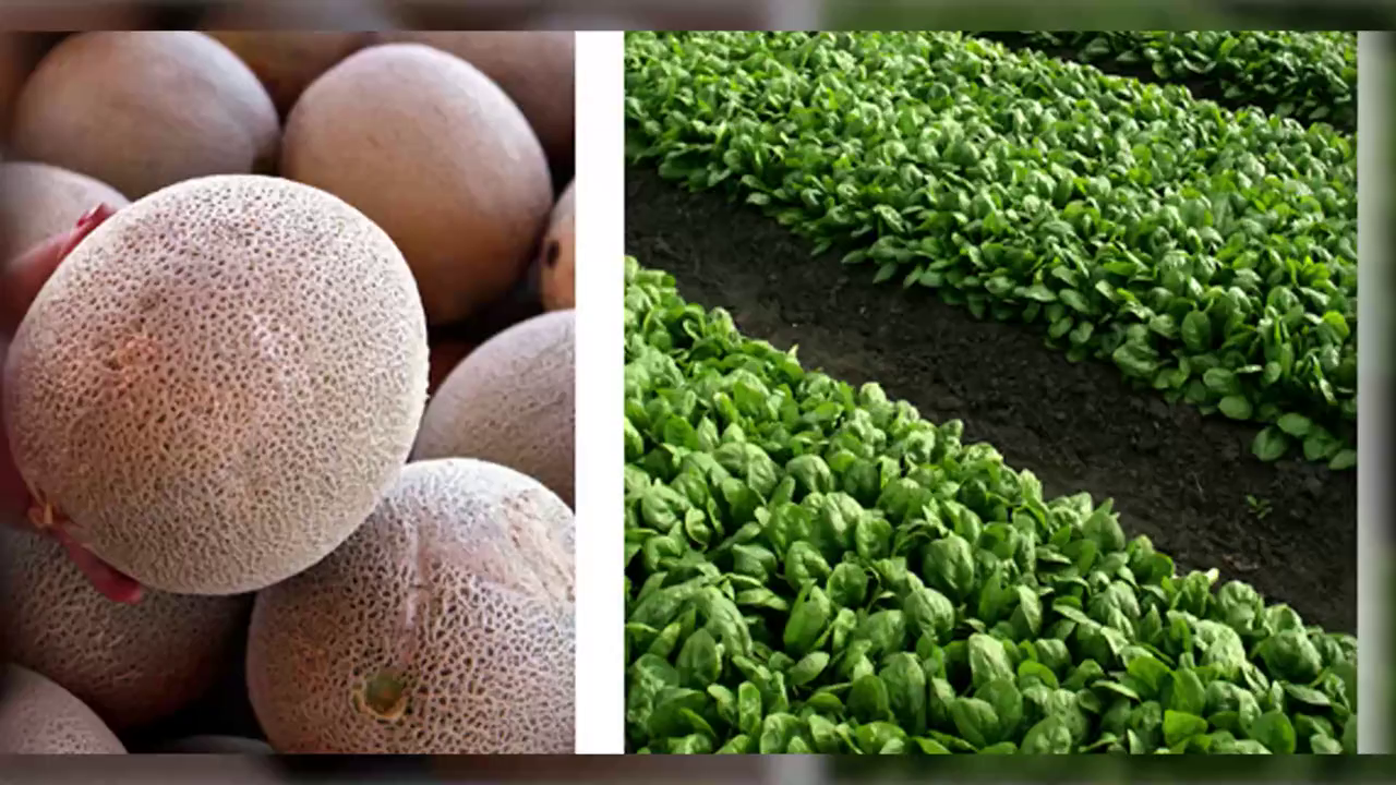 These foods are more likely to make you sick