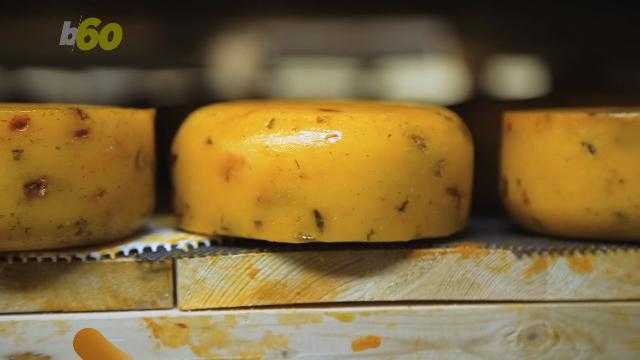 Forget apples: A piece of cheese a day could keep the doctor away