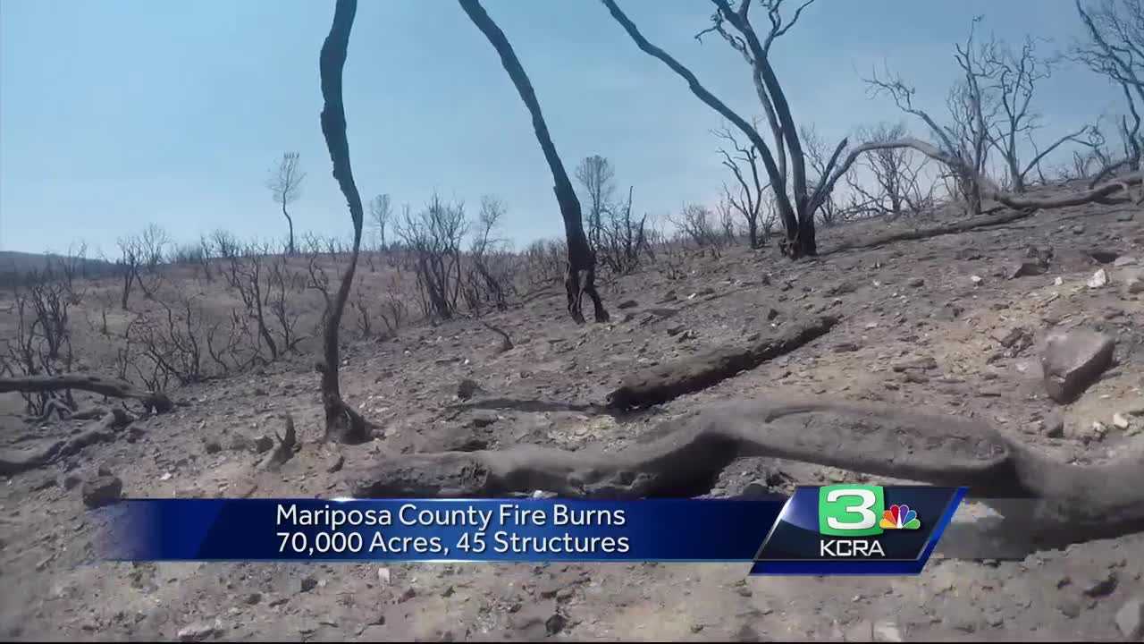 Wildlfire leaves behind skeletal landscape in Mariposa County