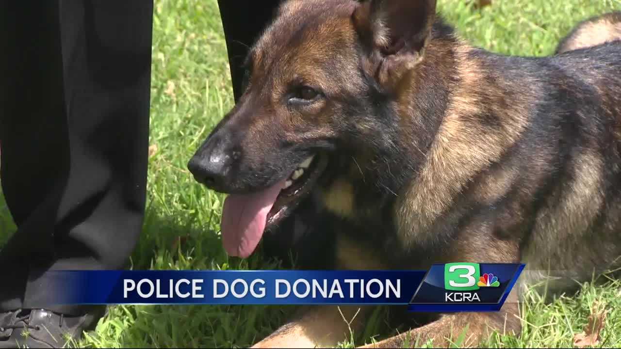 Stockton couple makes generous donation to K-9 program