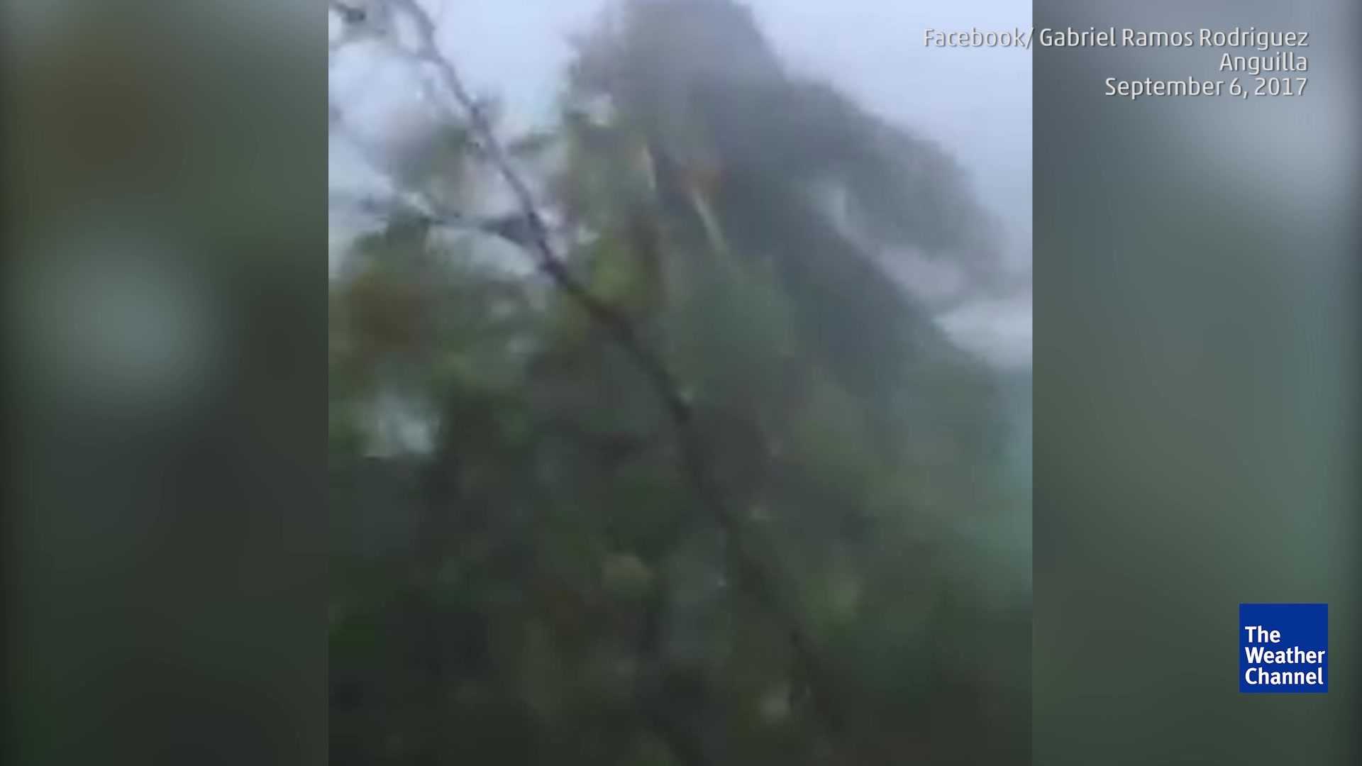 Irma Winds Roar in Anguilla