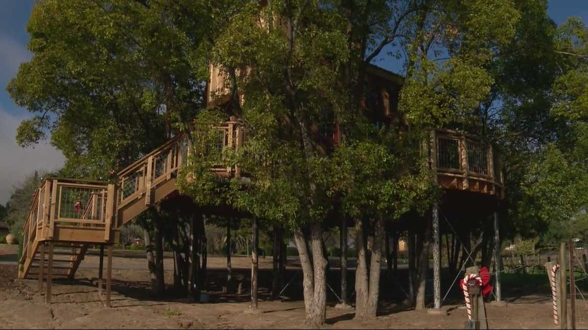Extravagant Granite Bay tree house gets national attention