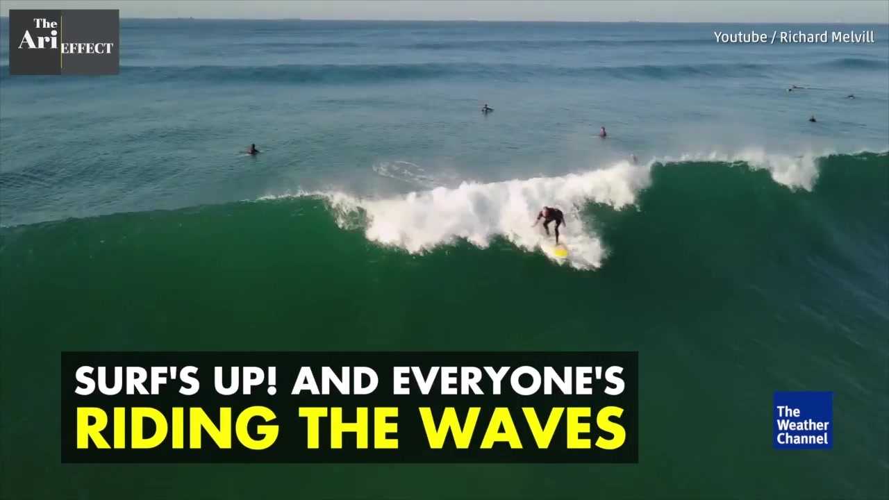 Dolphins and surfers enjoy catching waves