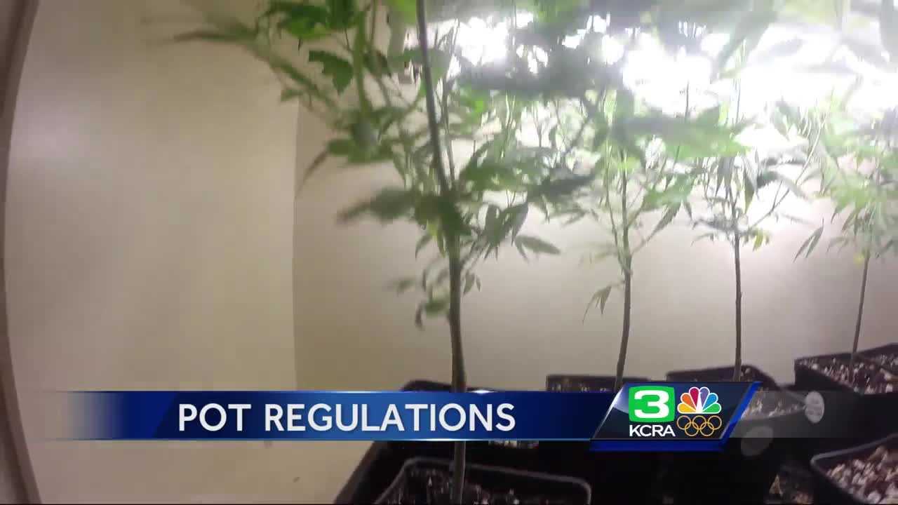 California releases pot regulations ahead of Jan. 1 deadline