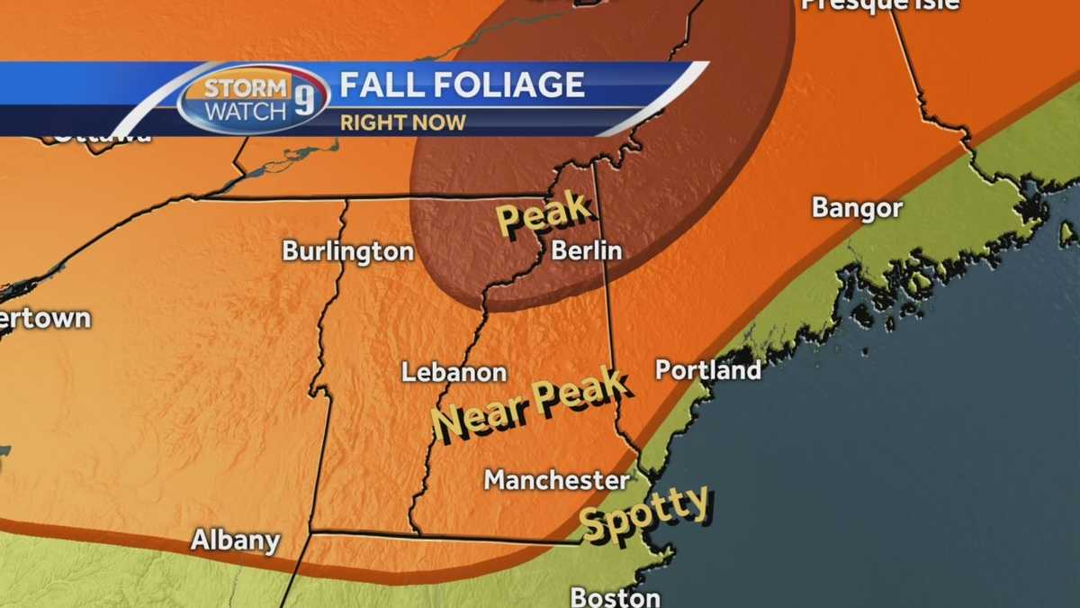 Fall foliage report Most of NH at or near peak