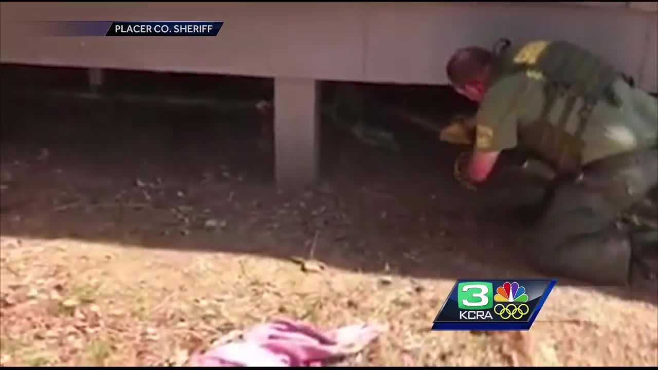 Deputies sweep homeless camp outside Auburn building