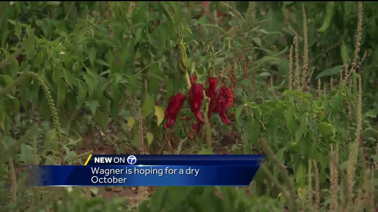 Recent storms leave farms a muddy mess