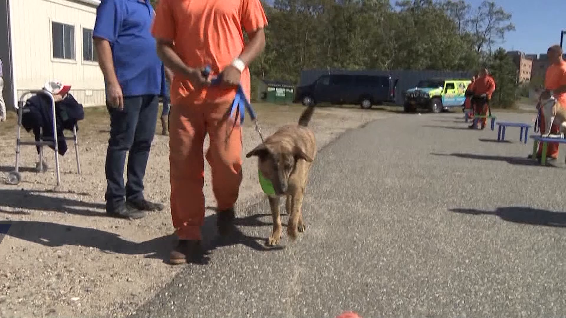 Inmates help train shelter dogs for adoption