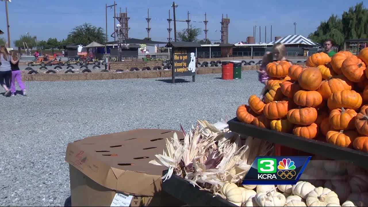Dell Osso Farms has plenty of fall fun for everyone