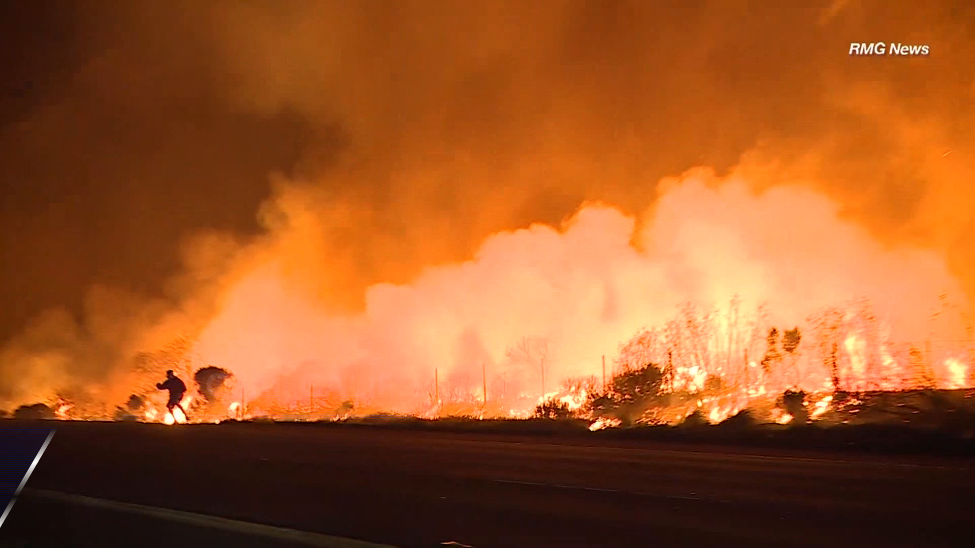 Man hops into action to save rabbit from wildfire