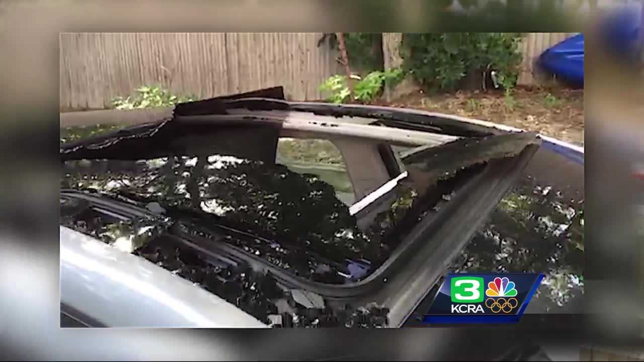 Consumer Reports: sunroof safety