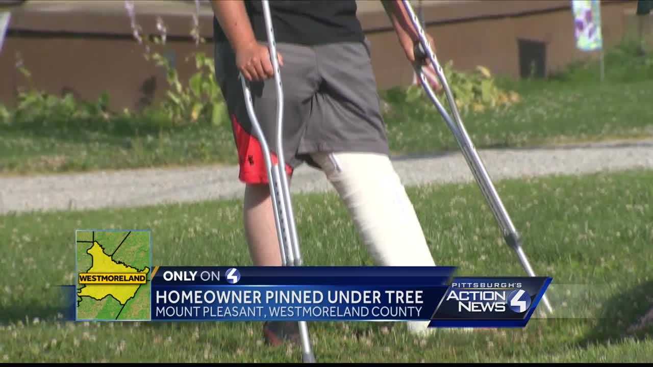 Homeowner pinned under tree at gender-reveal party in Mount Pleasant