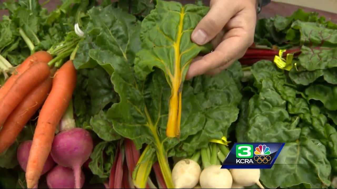 Farm to Fork: winter vegetables