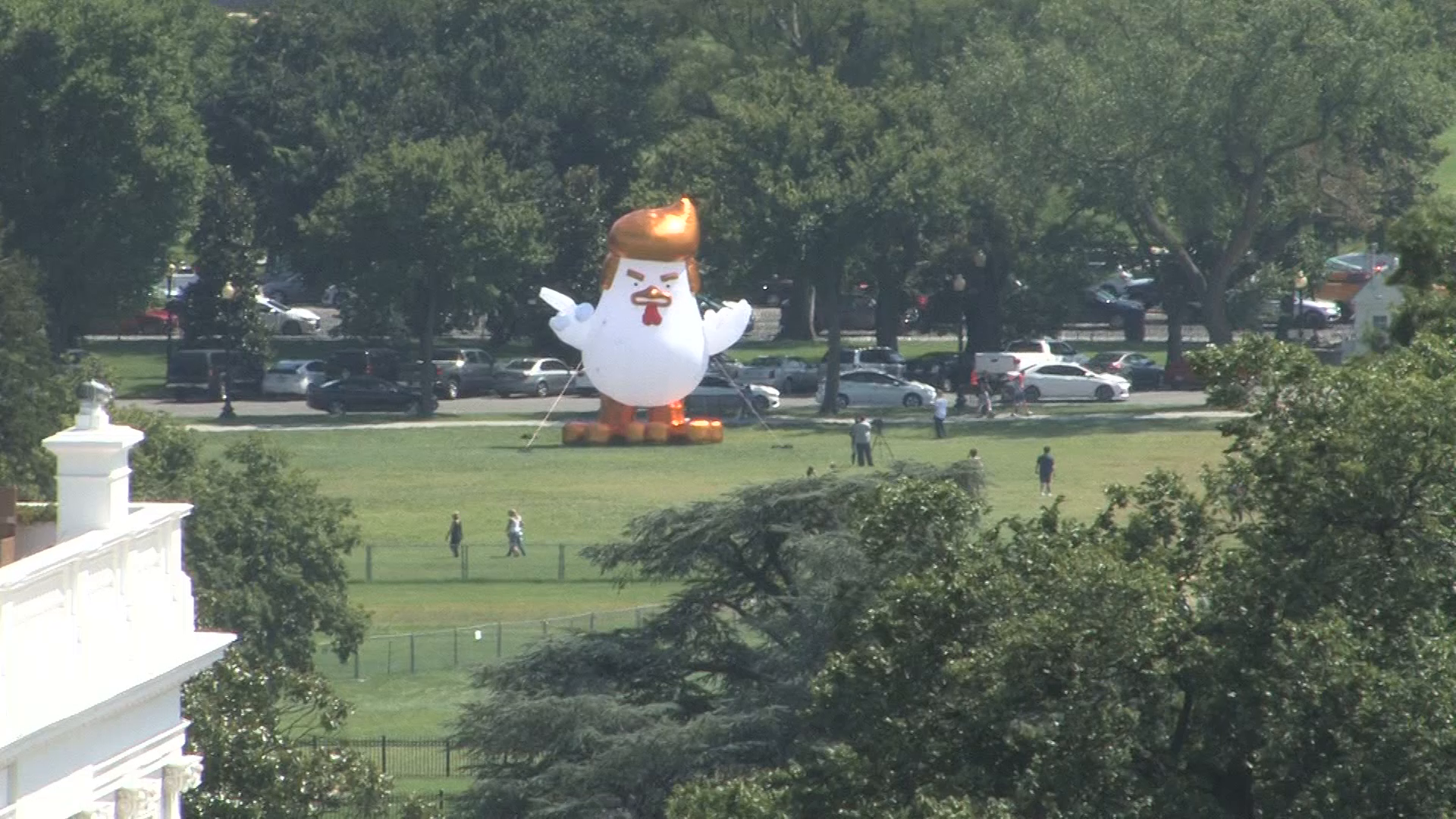 Giant inflatable chicken with golden hair perched right outside of White House