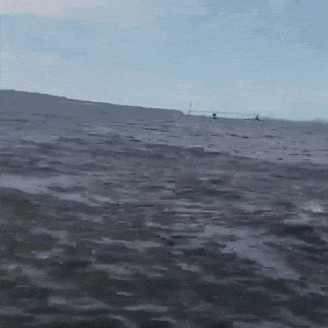 Boat passengers were not expecting this surprise off New Jersey coast