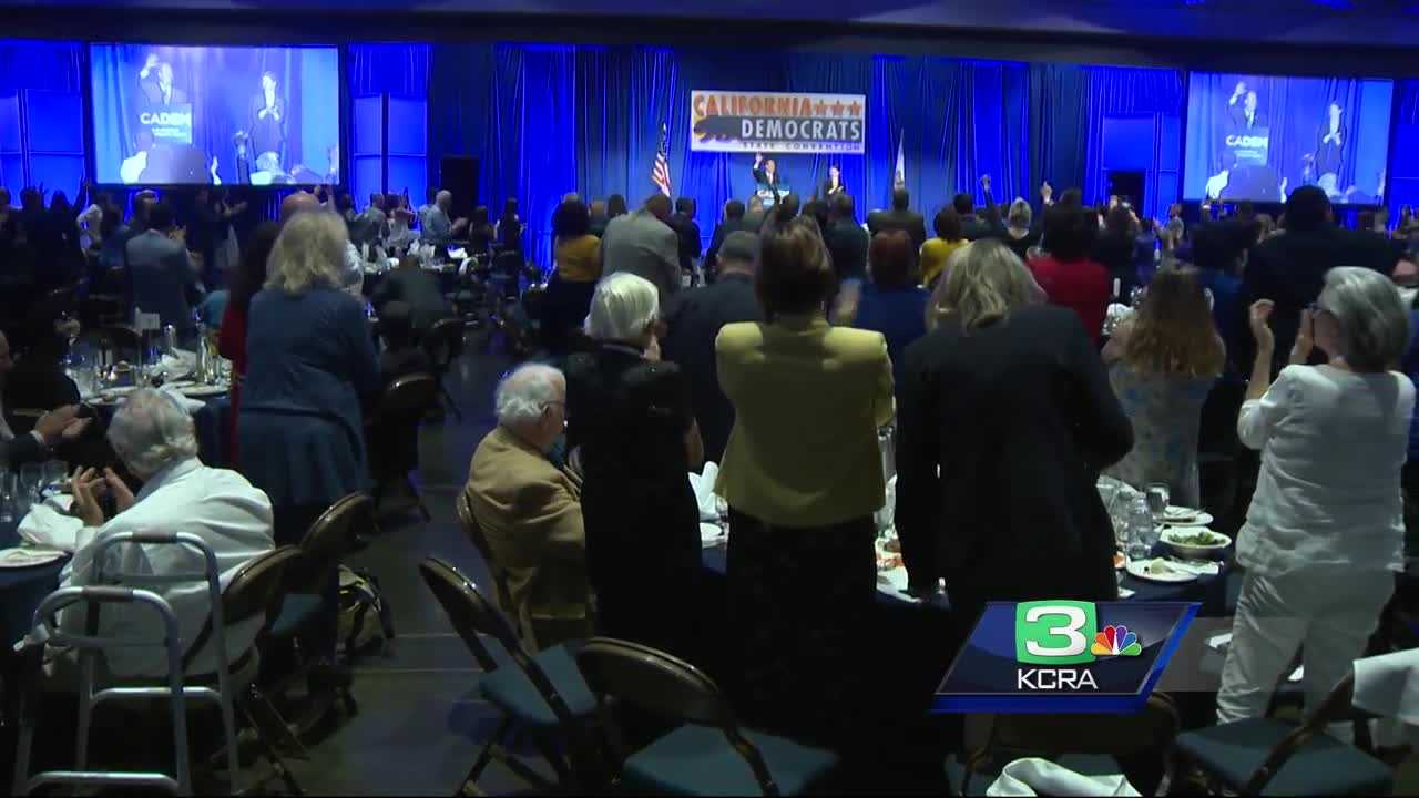 Democratic party calls for unity at State Convention