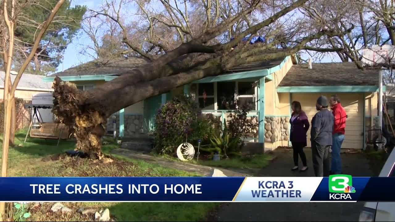 50-year-old oak tree crashes into home