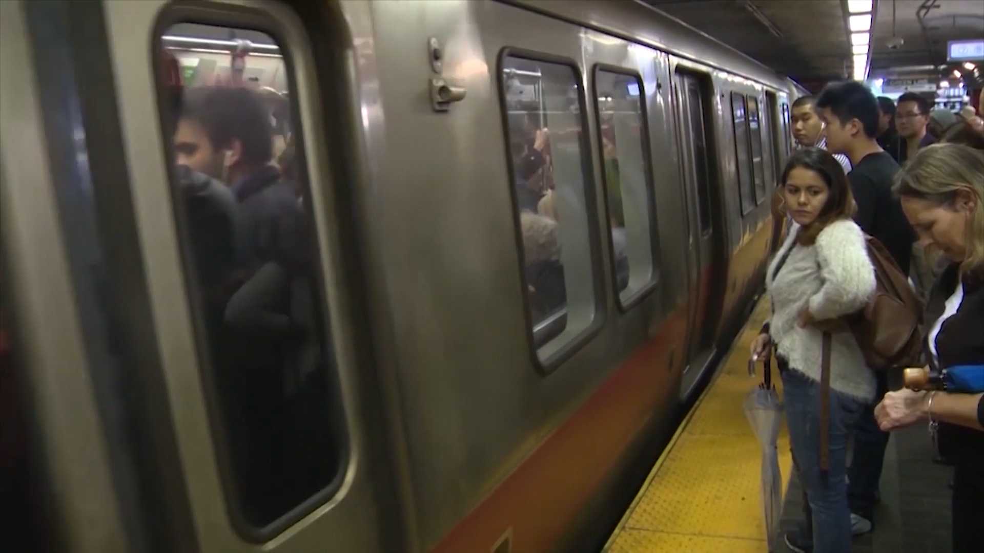 Snake on a train? Can this be legal?