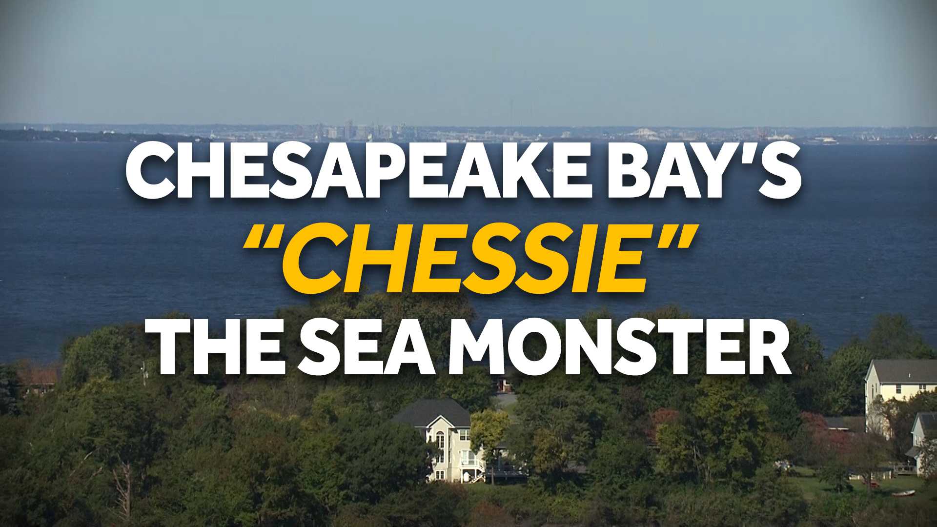 The legend of 'Chessie' is alive and well 35 years later