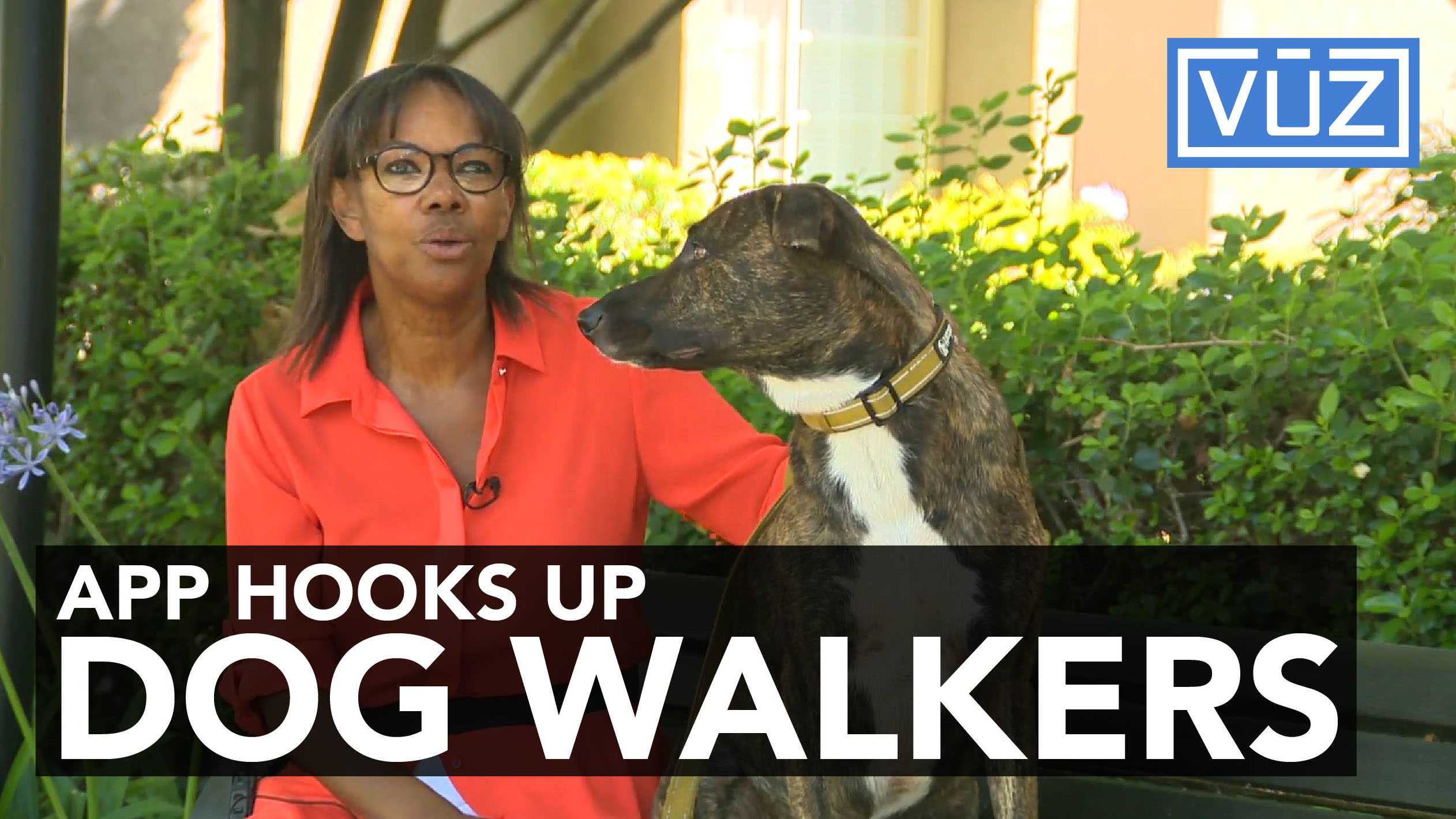New app connects dog walkers, owners