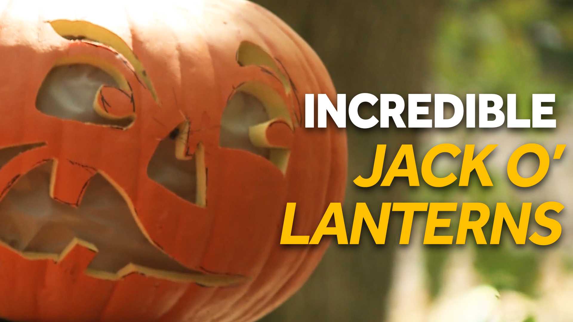 This Jack O'Lantern Spectacular lives up to its name