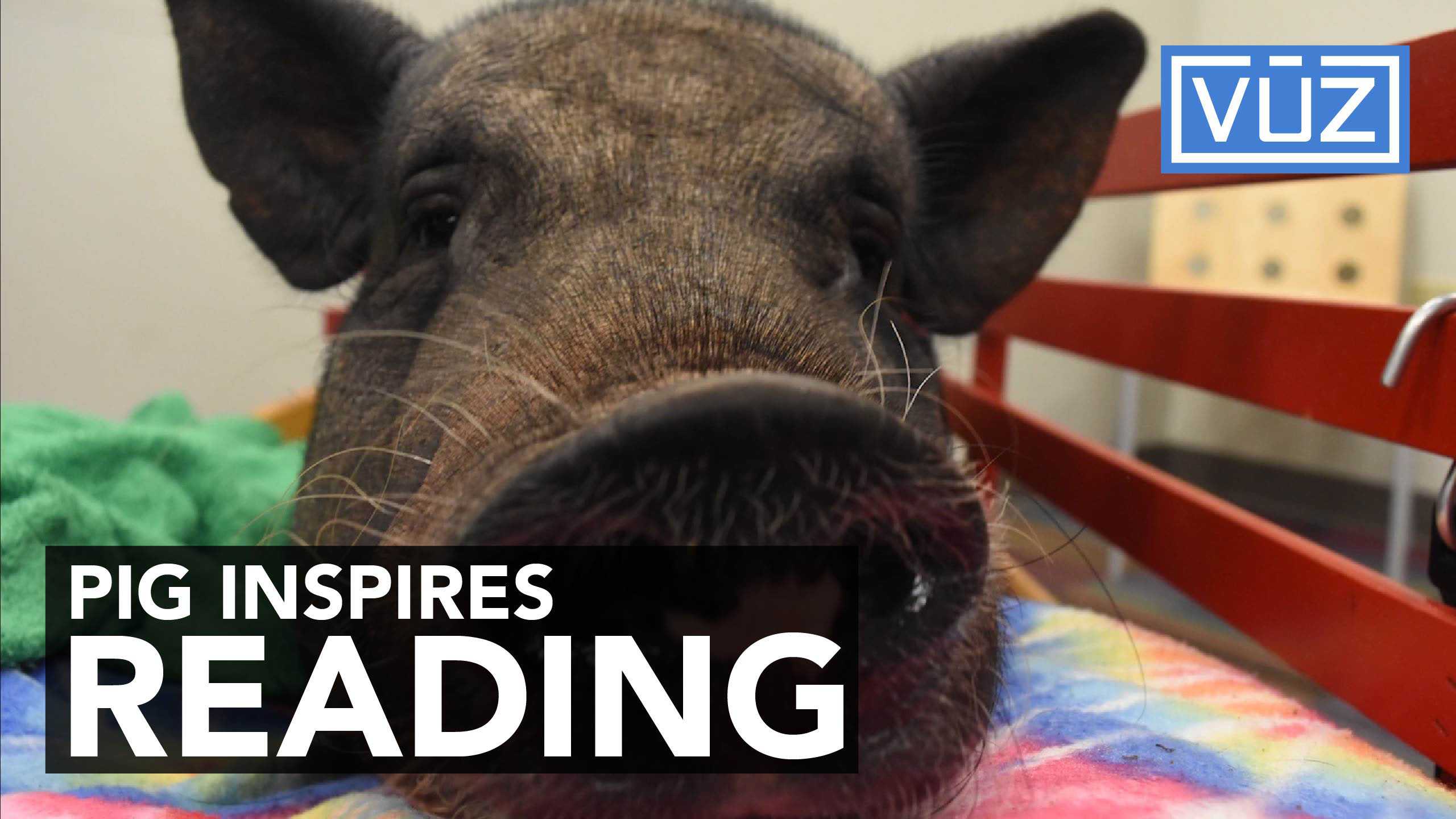 Harley has a way of getting kids to read to her