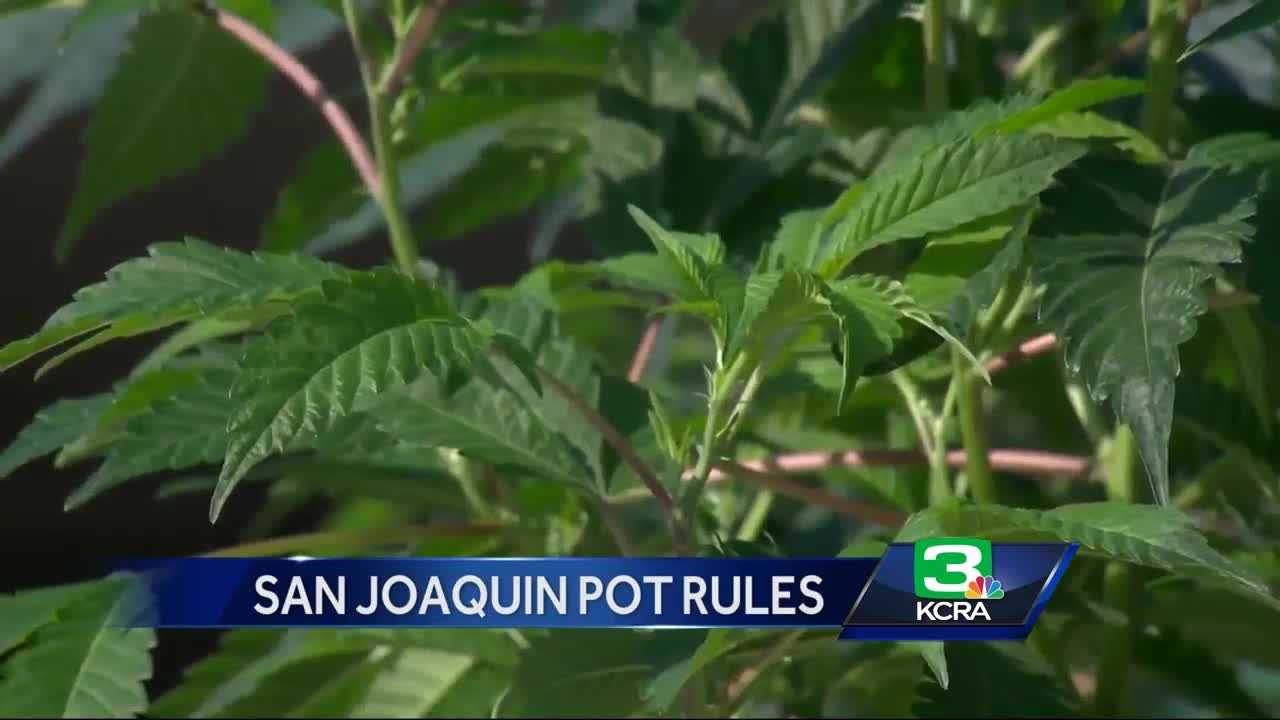 A fee for growing your own pot? It may happen in San Joaquin County