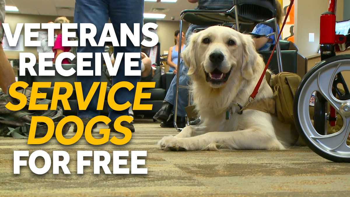 Military veterans receive service dogs for free