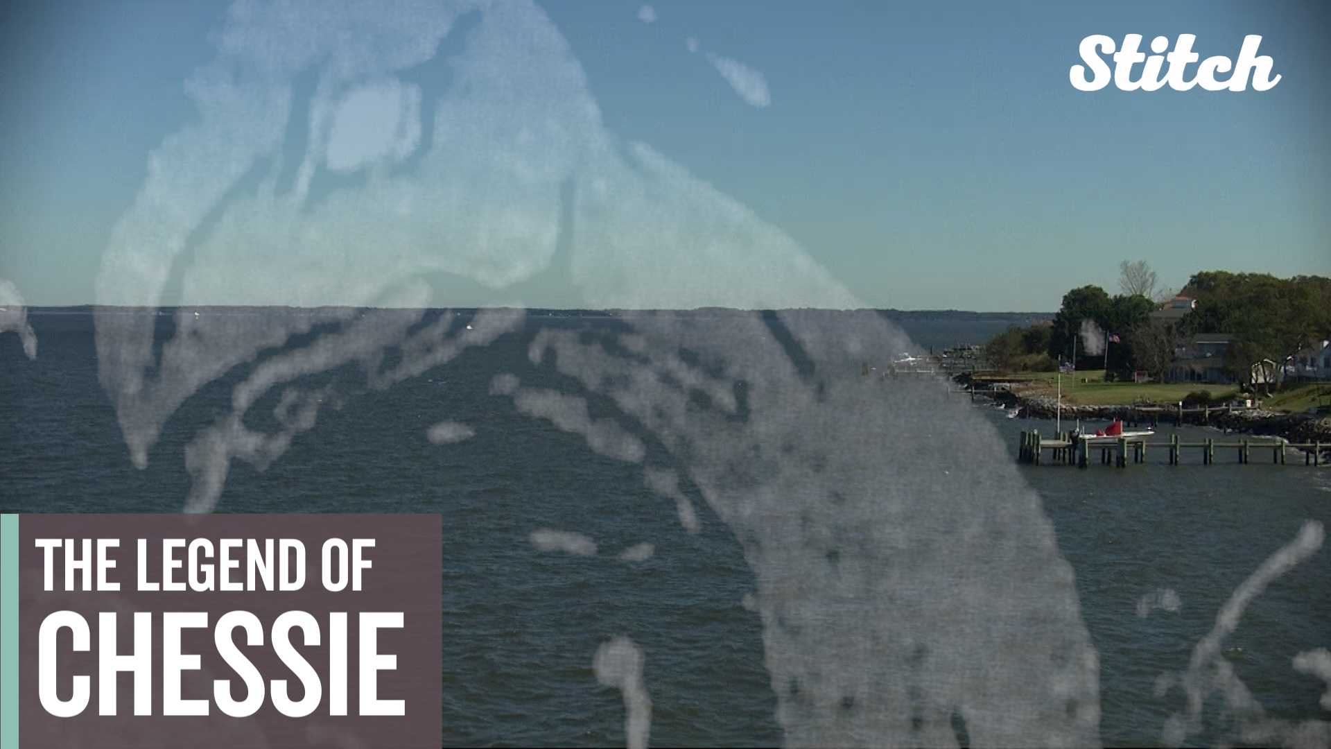 Is Chessie America's Loch Ness Monster?