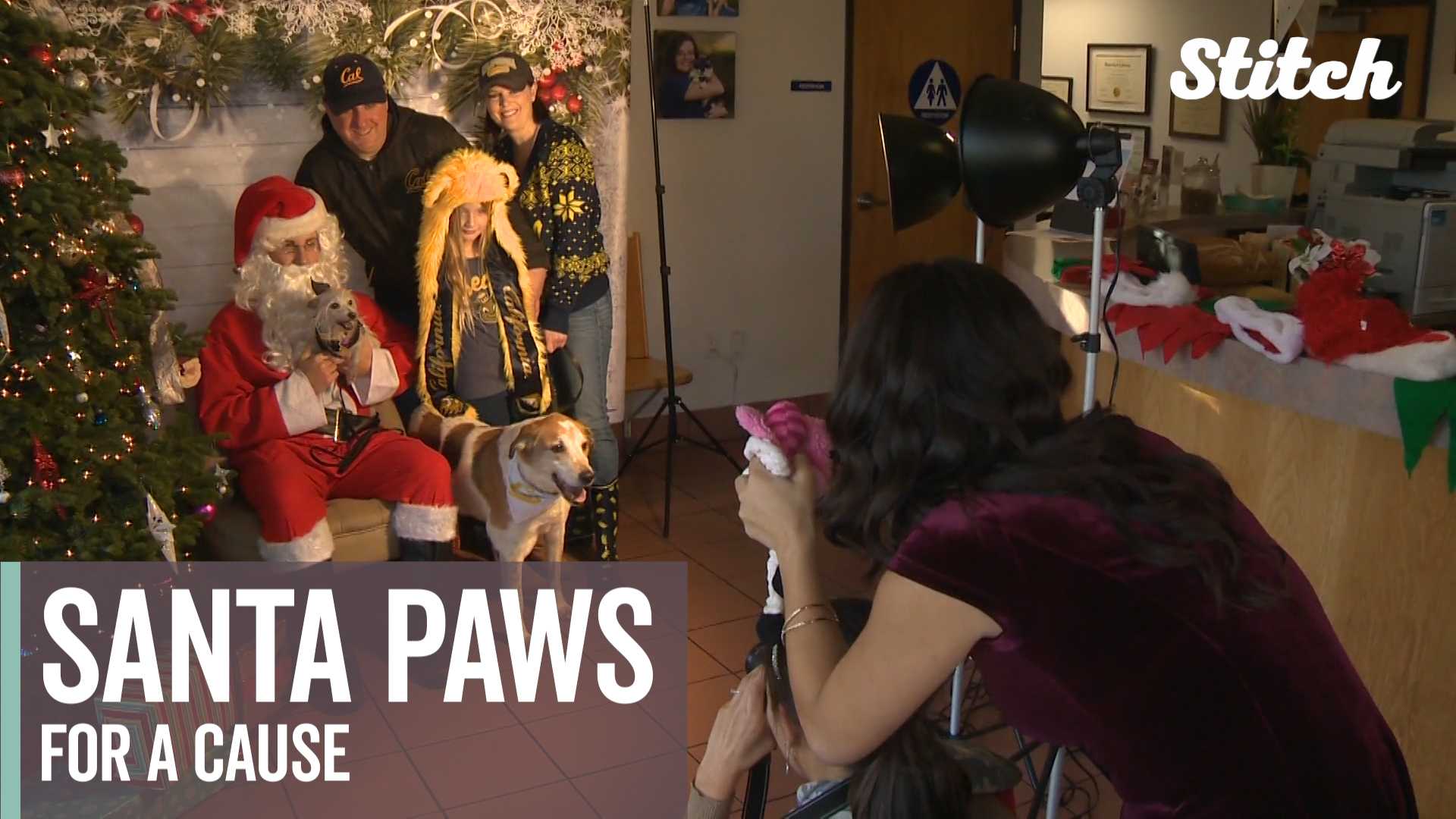 Pet photos with Santa raise money for homeless animals