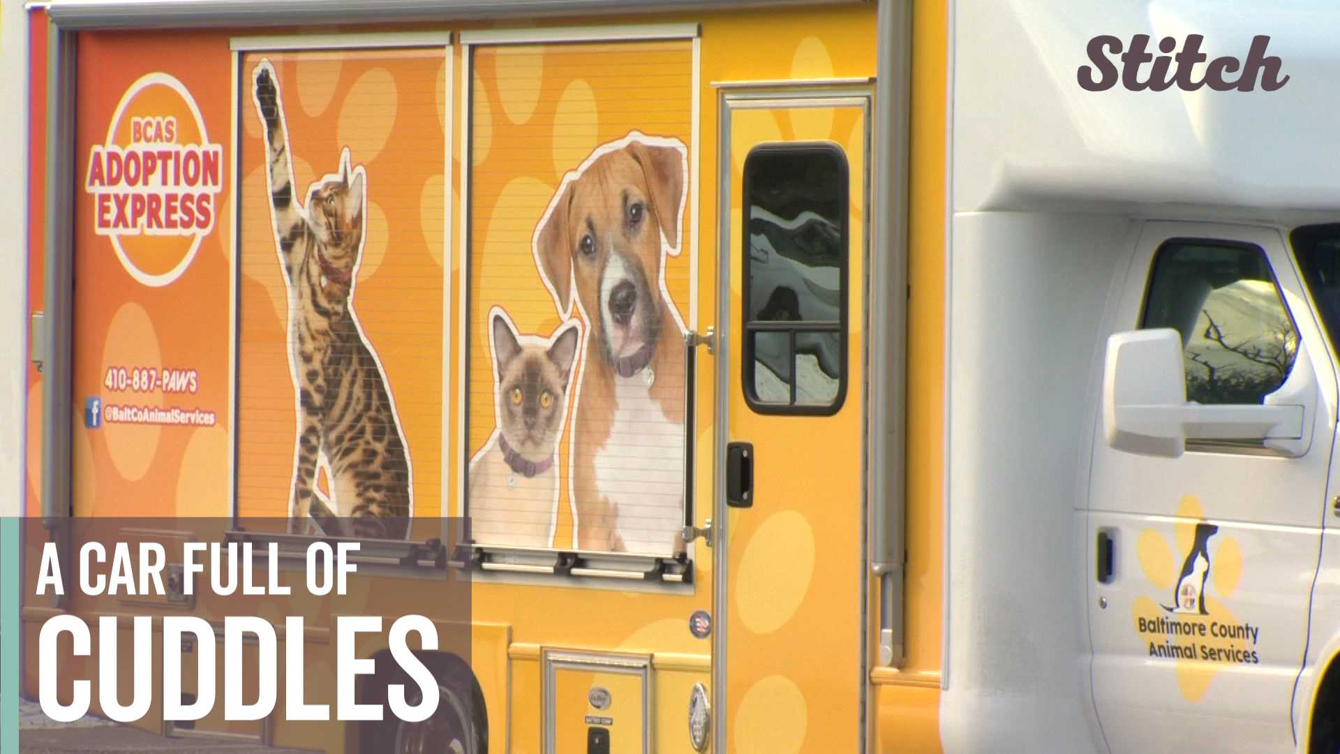 Cuddle Shuttle offers mobile animal adoption and veterinary services