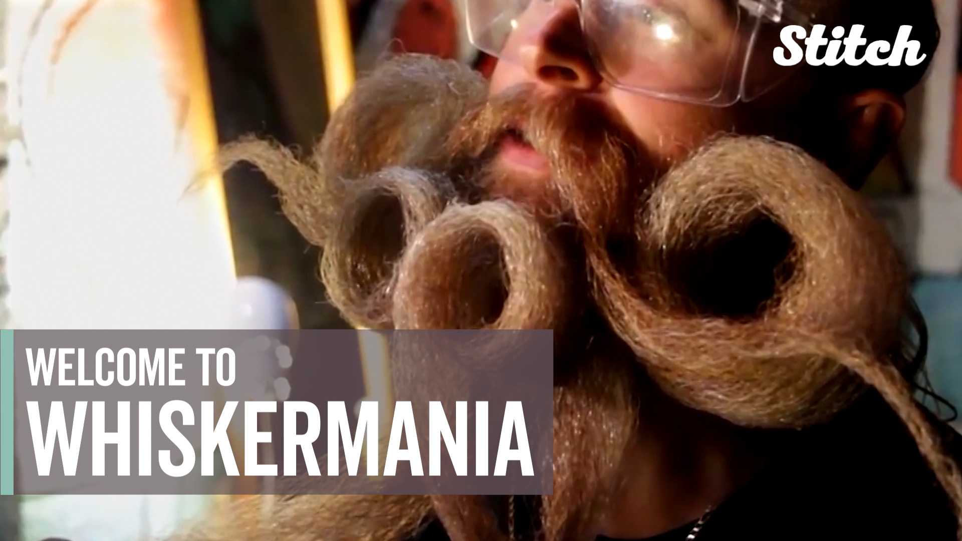 Third annual 'Whiskermania' returns to raise money for charity