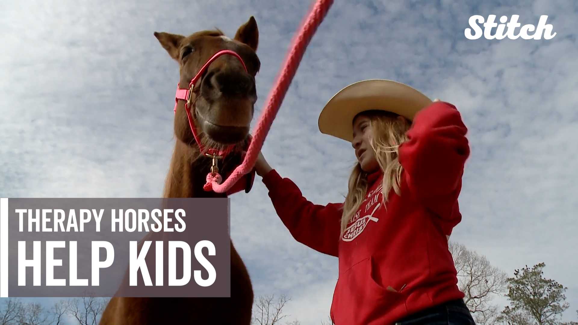 Ranch trains therapy horses to help children overcome emotional and behavioral issues