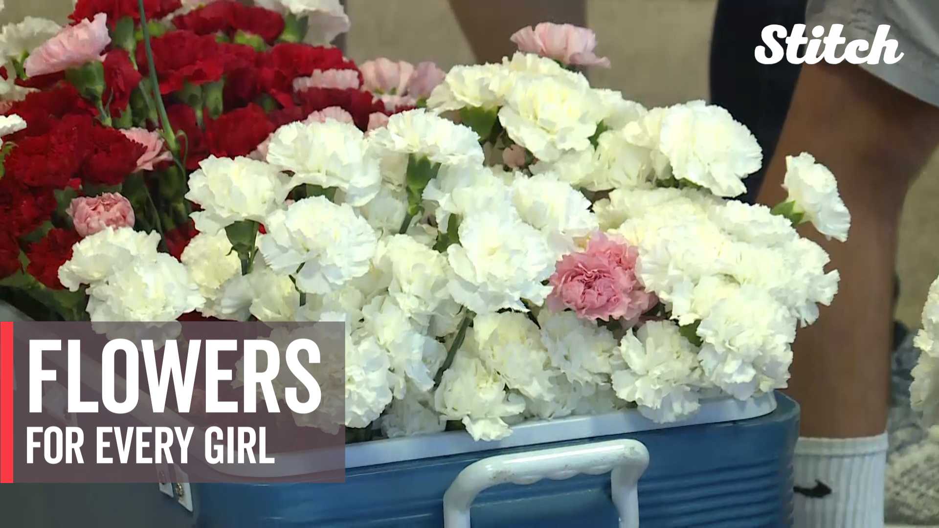 Two high-school seniors deliver flowers to every girl at school