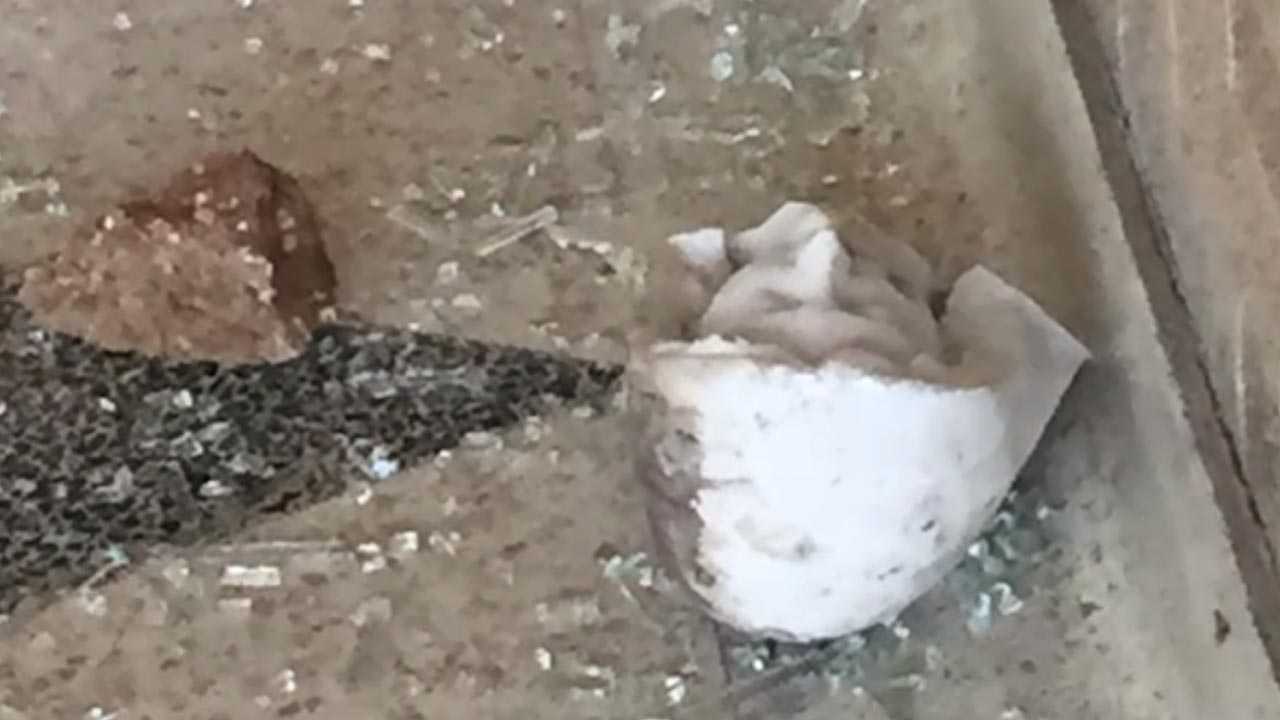 Head of marble Virgin Mary statue used to break into church