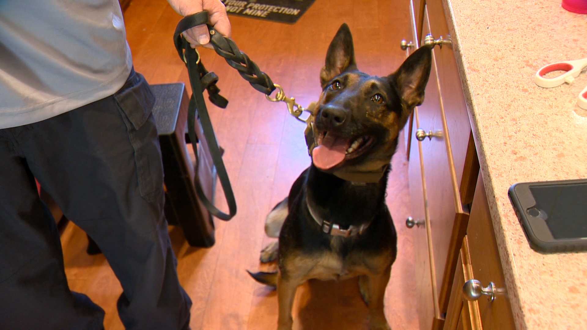 K9 helps parents find narcotics