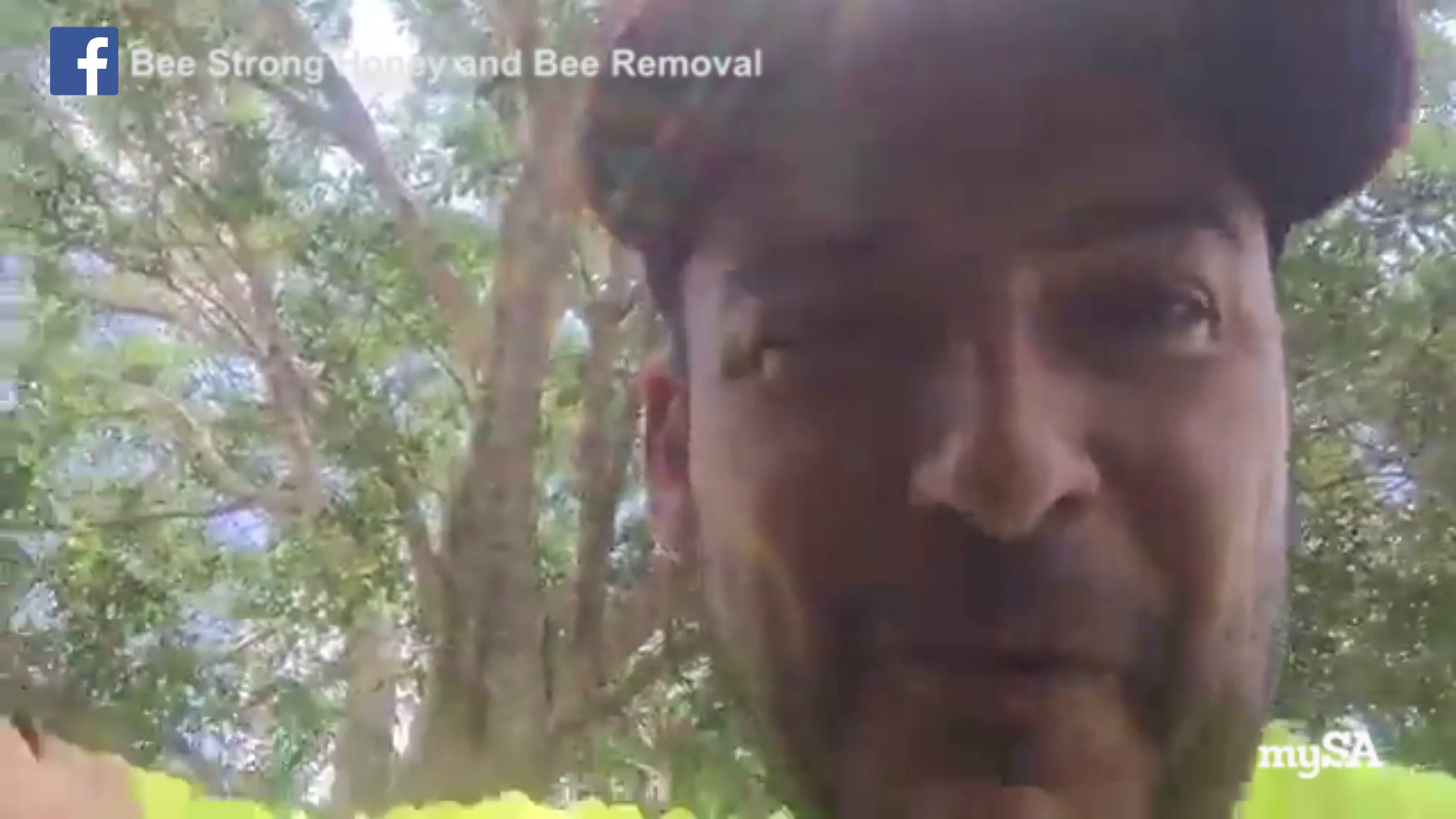 ​Behold the beard of bees​ - Man allows bees to hang out on his face