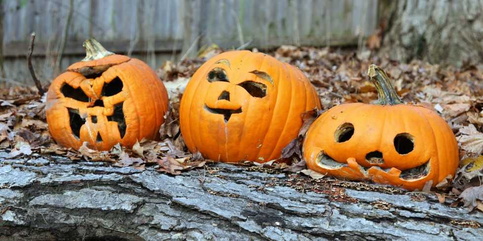 7 easy ways to make your jack-o'-lanterns last longer